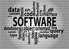 Software Development